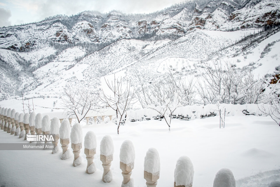 پرسه در برف- گلستان