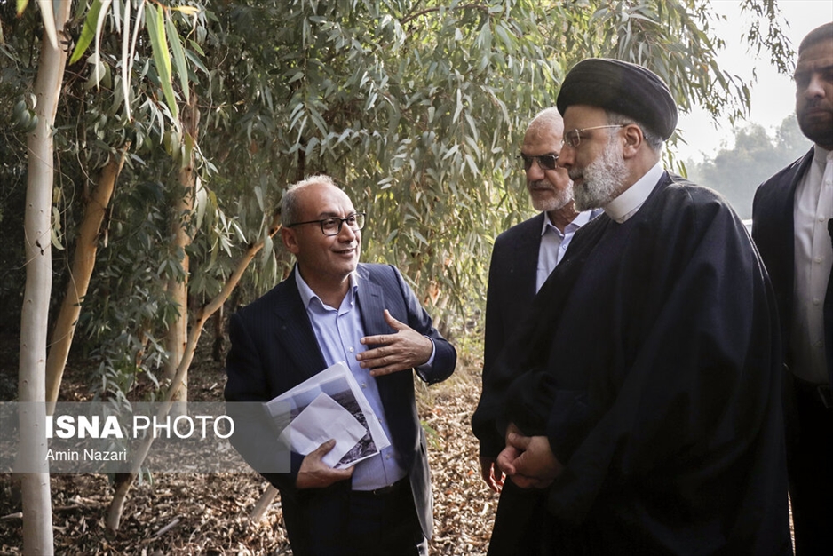 افتتاح پروژه تخته فشرده پاک چوب با حضور رئیس‌جمهور