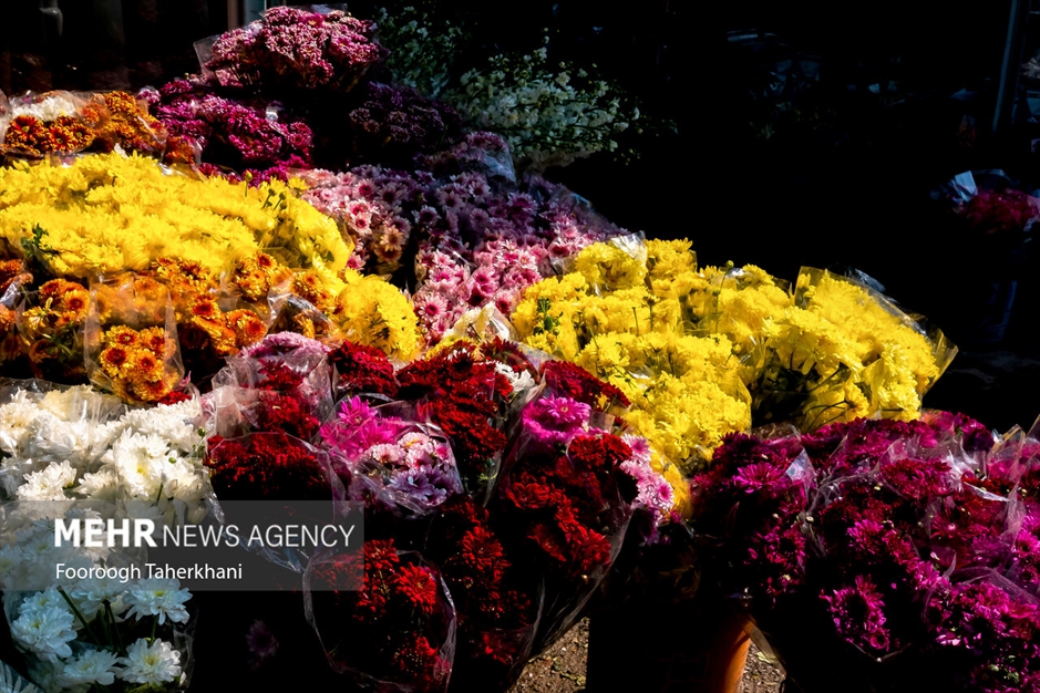 تهران در آستانه نوروز ۱۴۰۳