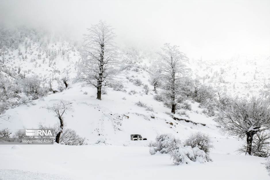 پرسه در برف- گلستان