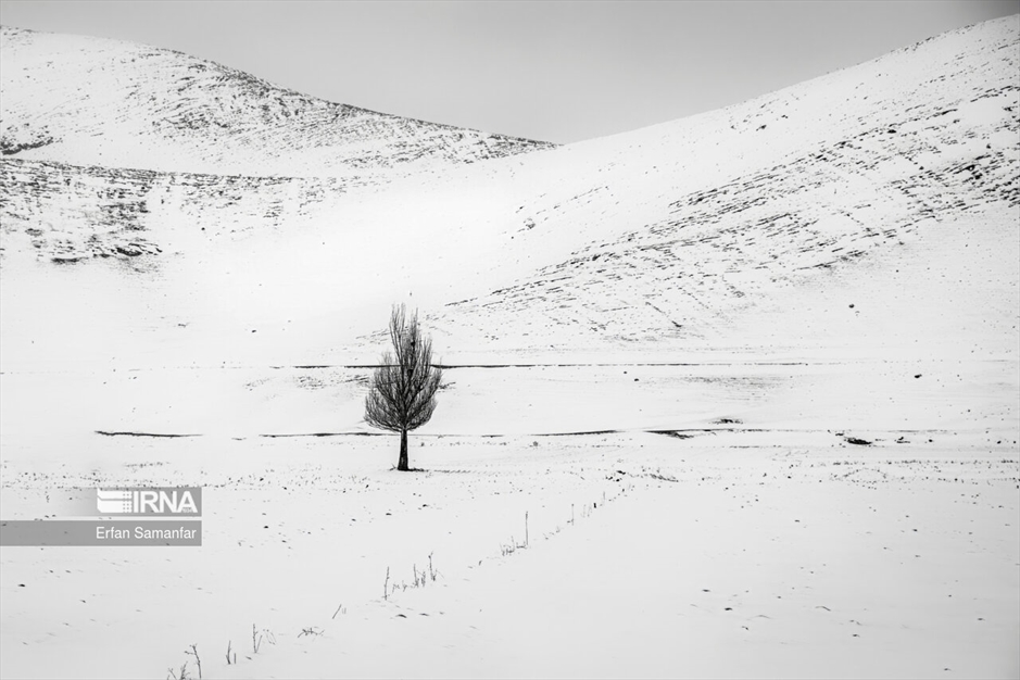 به سپیدی برف