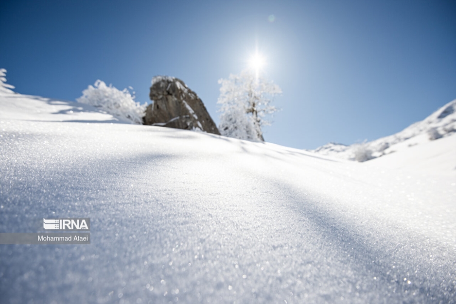 پرسه در برف- گلستان