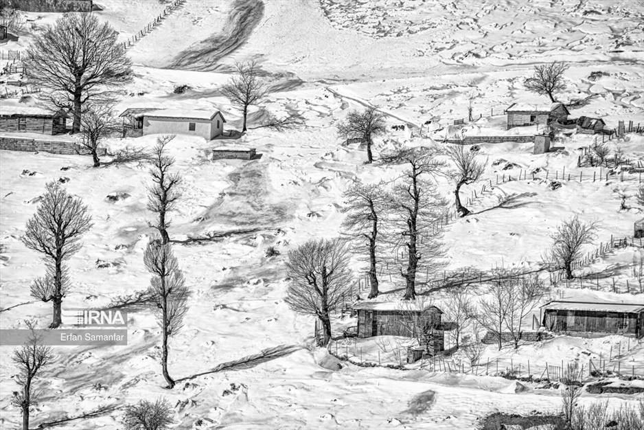 به سپیدی برف