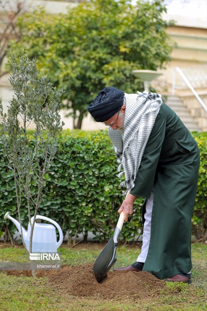 کاشت نهال توسط رهبر انقلاب