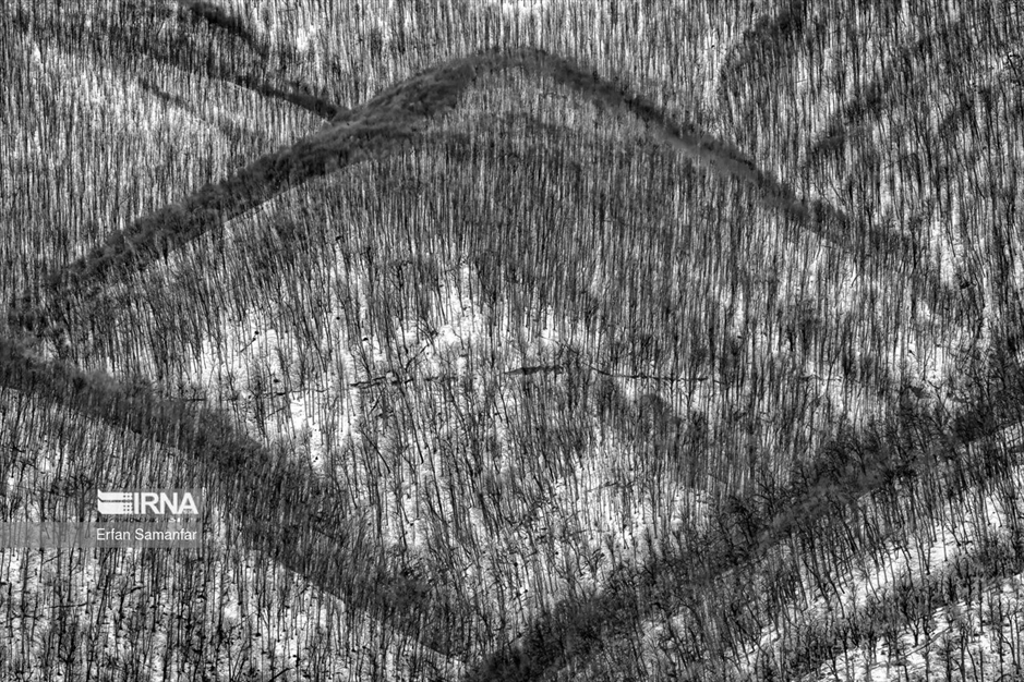 به سپیدی برف