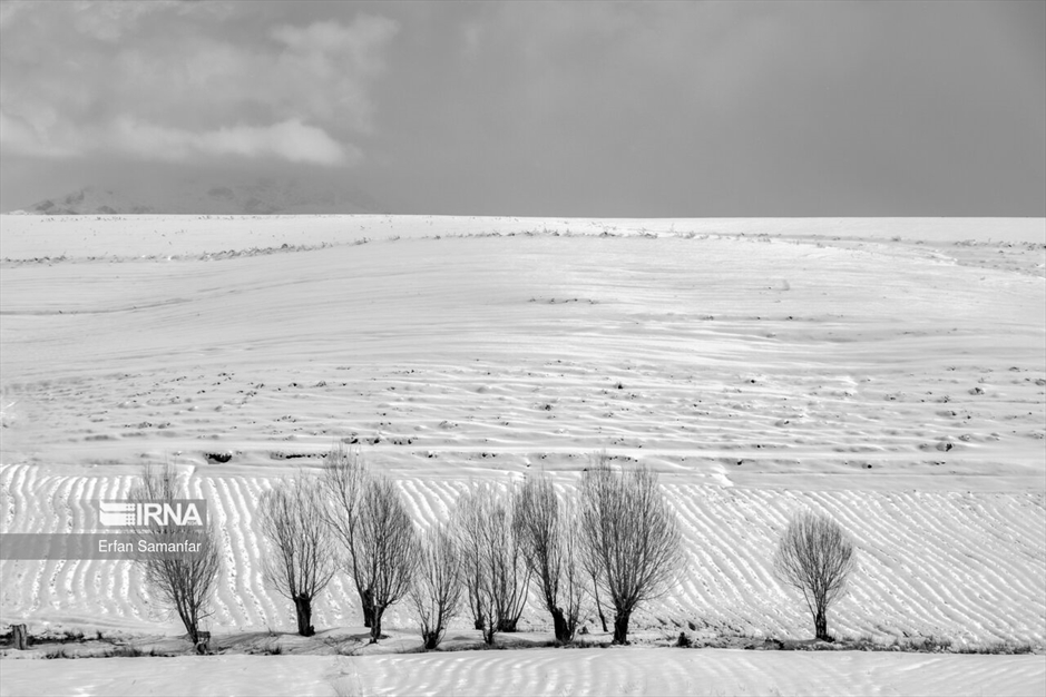 به سپیدی برف