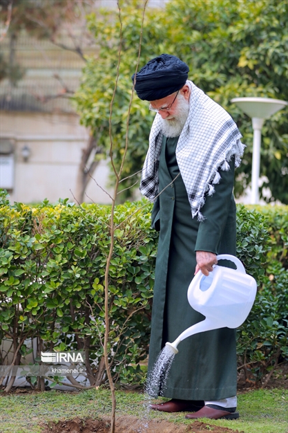 کاشت نهال توسط رهبر انقلاب