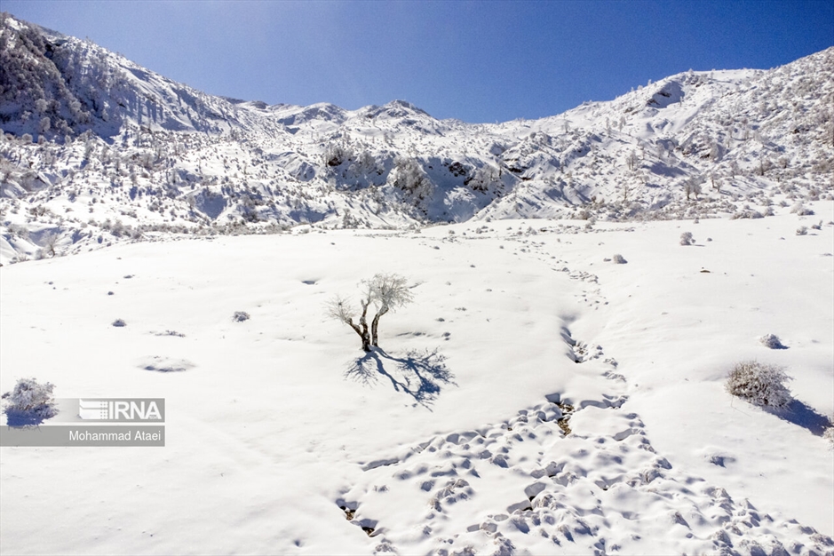 پرسه در برف- گلستان