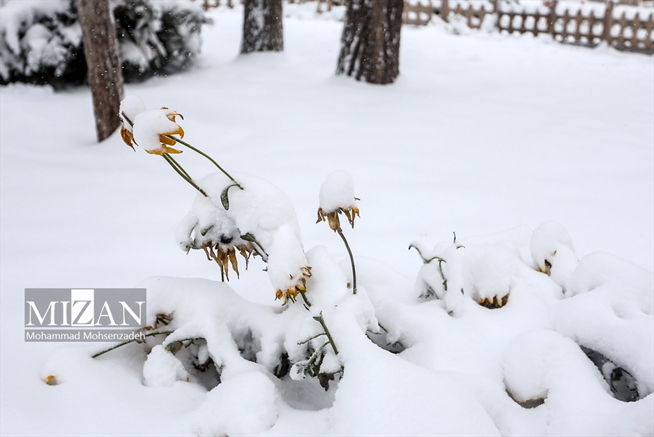 بارش اولین برف زمستانی در قم