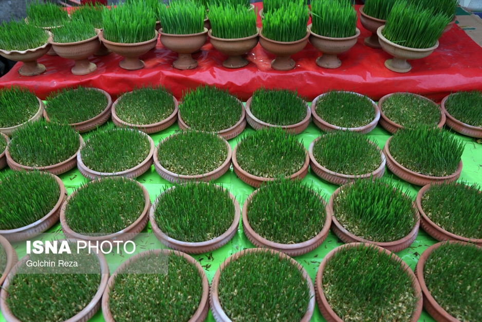 رشت در استقبال از نوروز