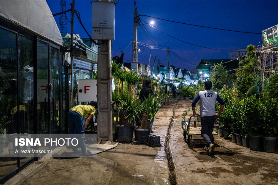 بازار گل محلاتی در آستانه سال نو