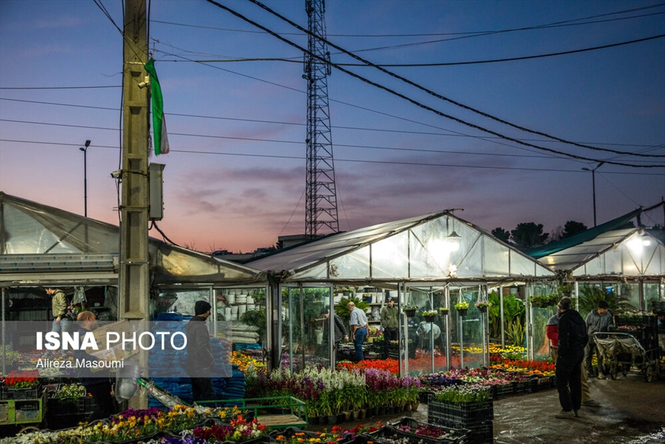 بازار گل محلاتی در آستانه سال نو