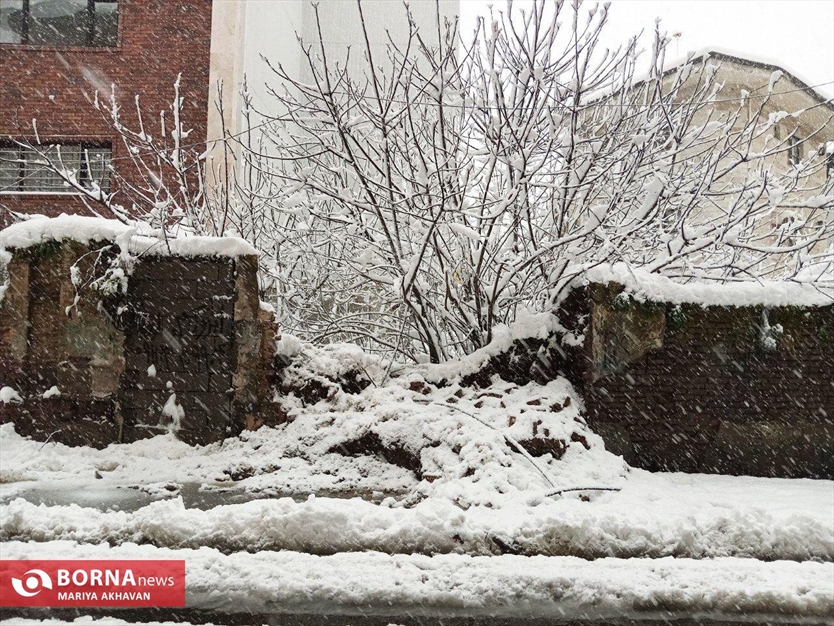 نخستین برف زمستانی رشت