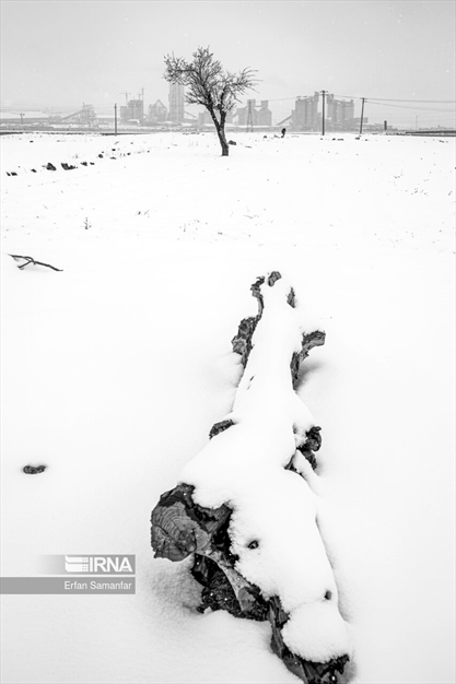 به سپیدی برف