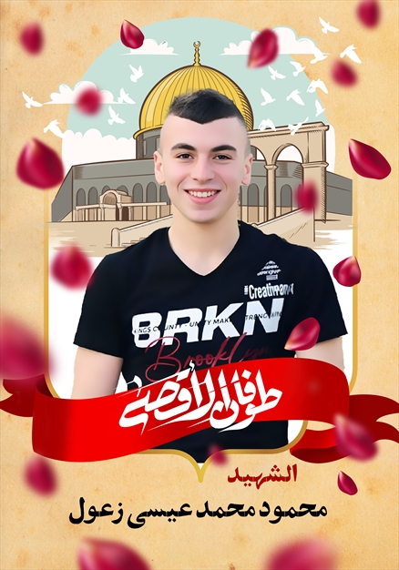 مجموعه تصاویر شهدای غزه - ۲