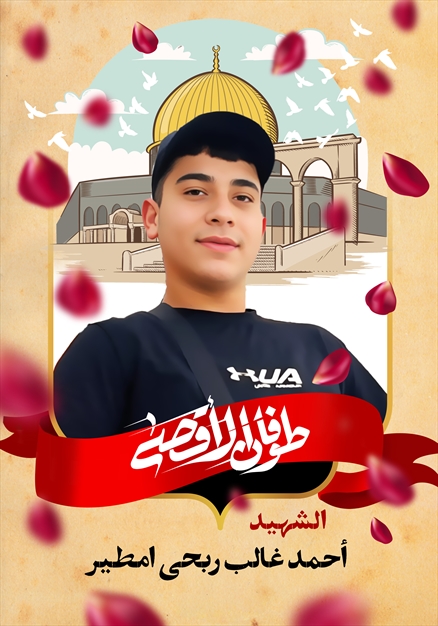 مجموعه تصاویر شهدای غزه - ۴