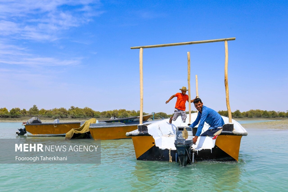 قشم،بزرگترین جزیره ایران