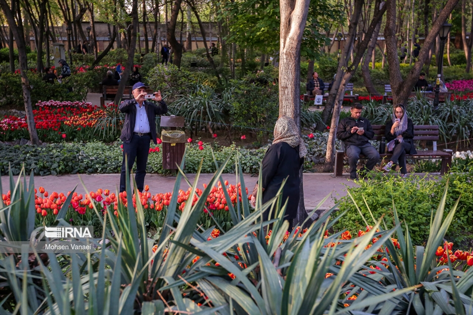 لاله‌های باغ ایرانی