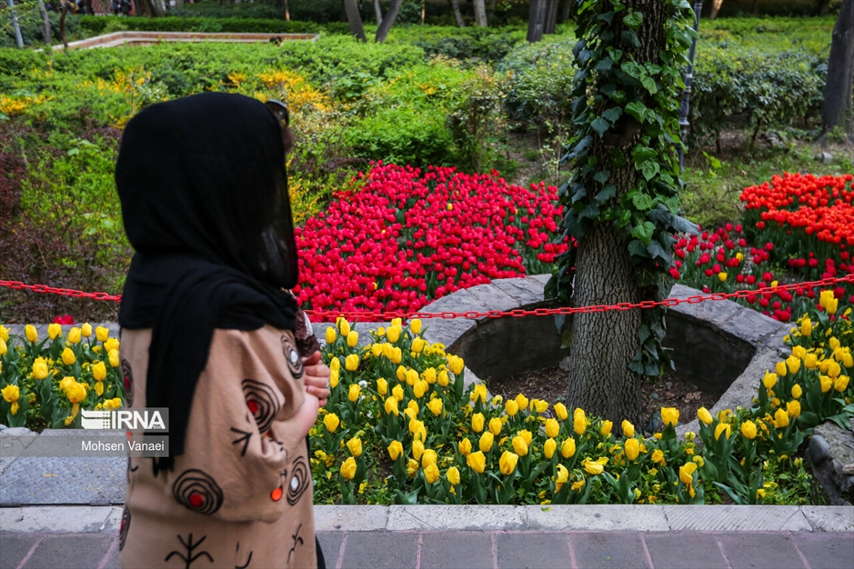 لاله‌های باغ ایرانی