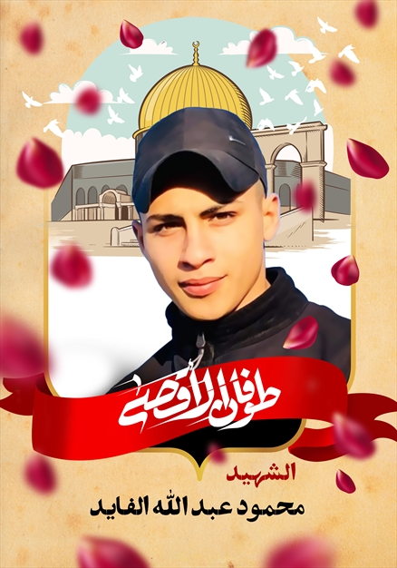 مجموعه تصاویر شهدای غزه - ۴