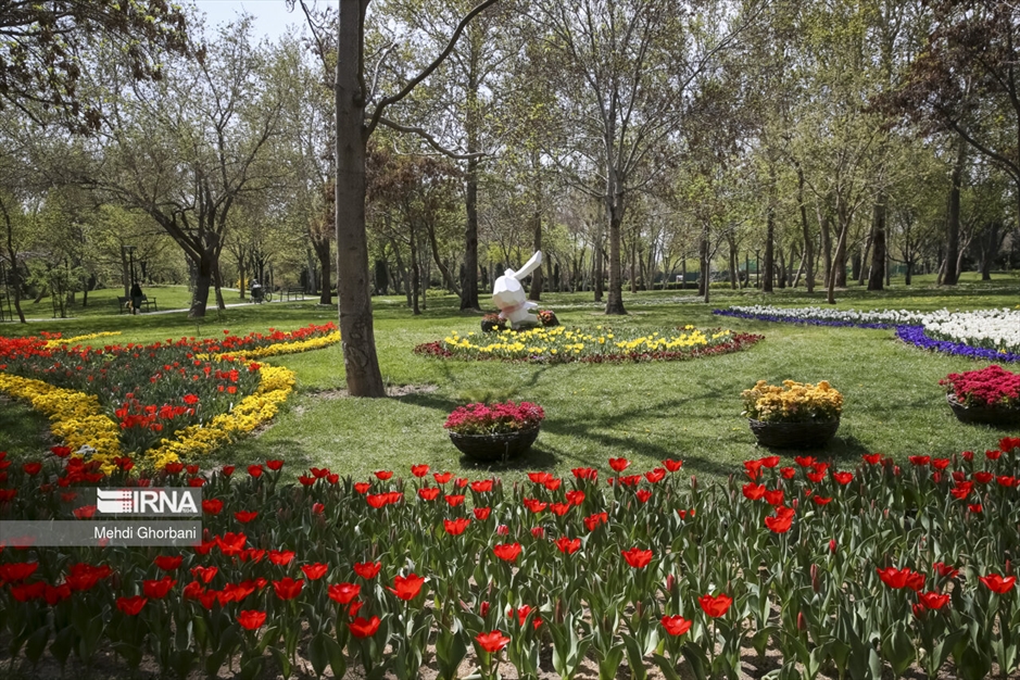 جشنواره گل های لاله در پارک ملت مشهد
