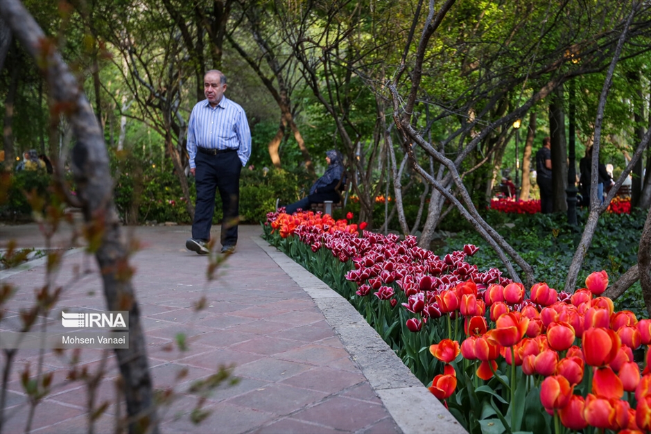 لاله‌های باغ ایرانی