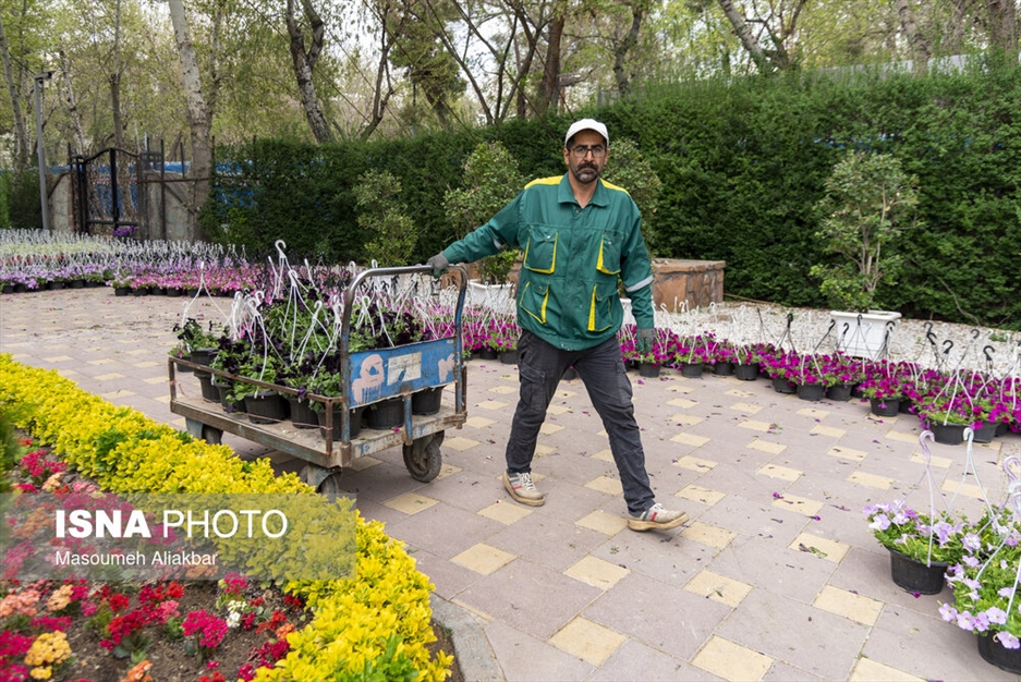 آماده سازی باغ گل جشنواره لاله های کرج