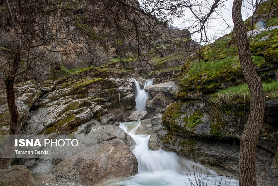 مخمل کوه در گستره زاگرس - لرستان