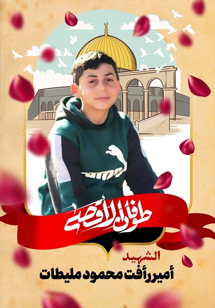 مجموعه تصاویر از شهدای غزه - ۱