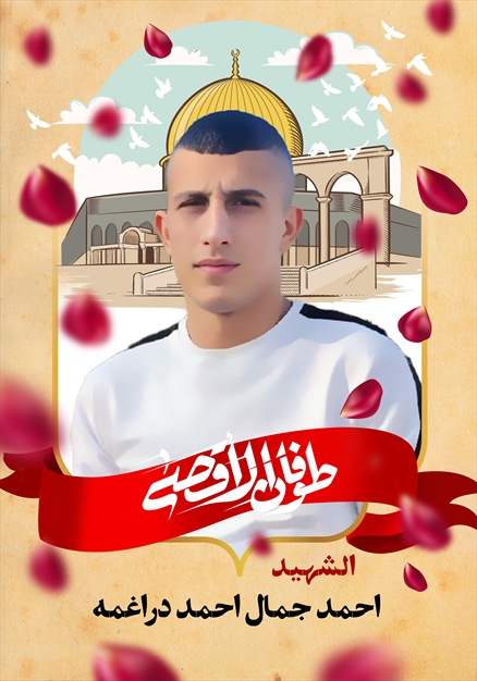 مجموعه تصاویر شهدای غزه - ۲