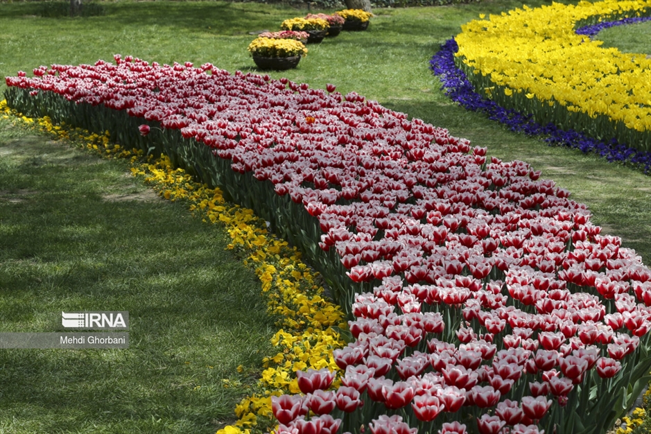 جشنواره گل های لاله در پارک ملت مشهد