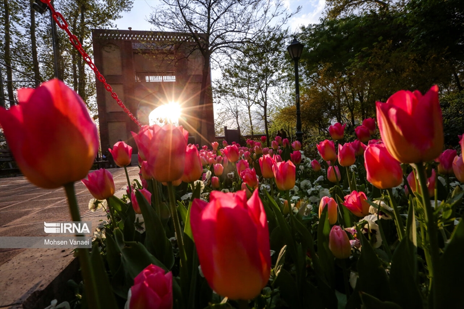 لاله‌های باغ ایرانی