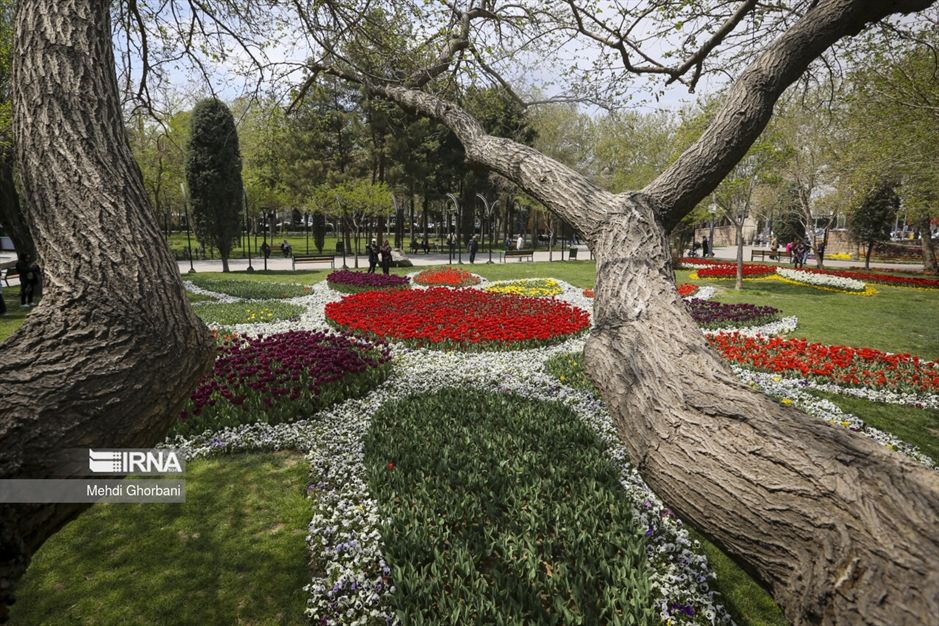 جشنواره گل های لاله در پارک ملت مشهد