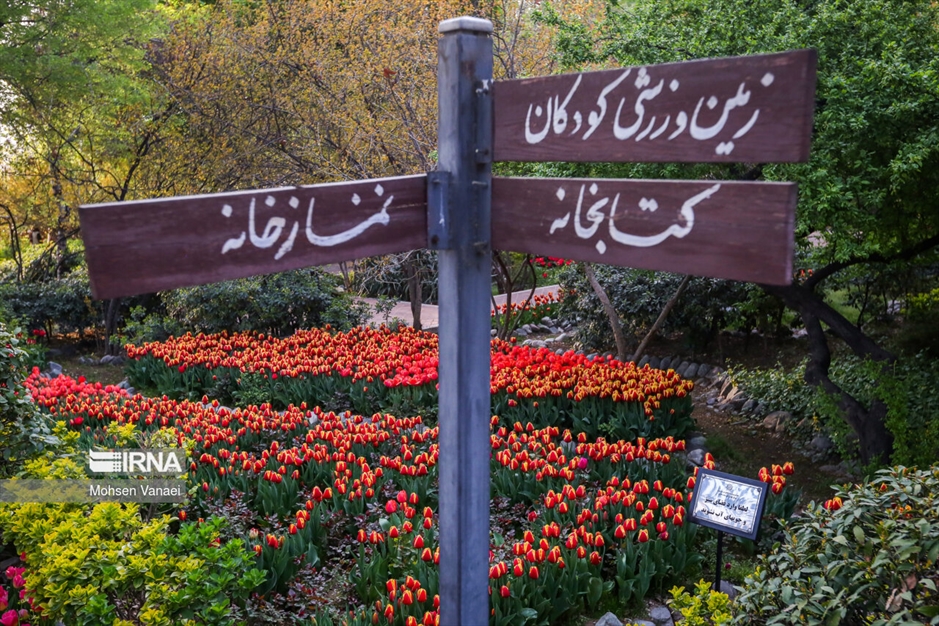 لاله‌های باغ ایرانی