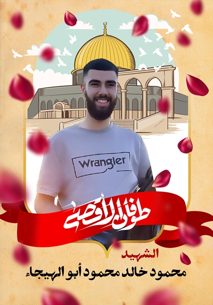 مجموعه تصاویر شهدای غزه - ۵