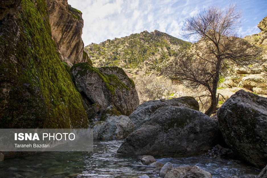 مخمل کوه در گستره زاگرس - لرستان