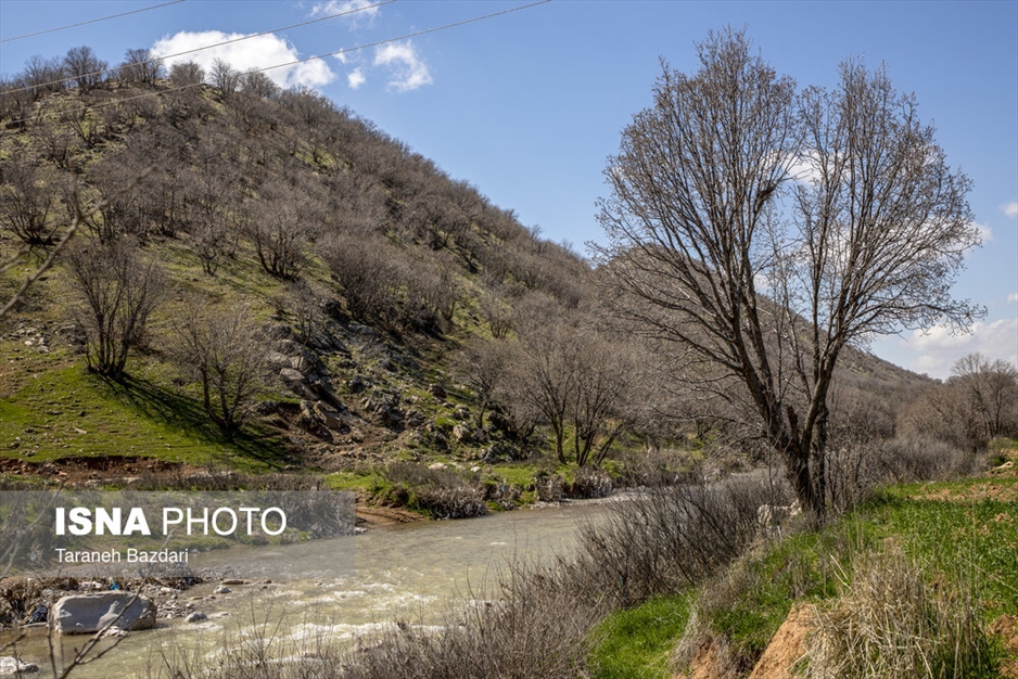 مخمل کوه در گستره زاگرس - لرستان