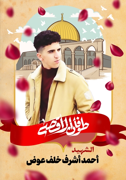 مجموعه تصاویر از شهدای غزه - ۱