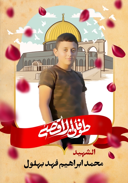 مجموعه تصاویر شهدای غزه - ۵