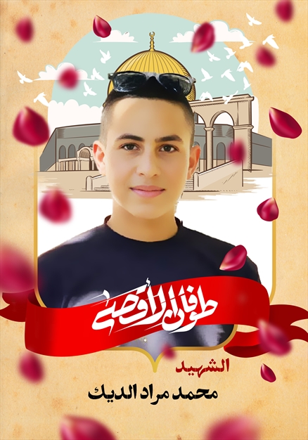 مجموعه تصاویر شهدای غزه - ۲