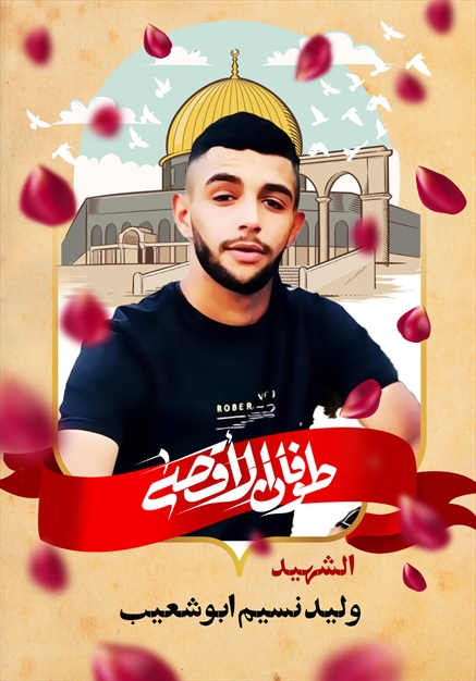 مجموعه تصاویر شهدای غزه - ۶