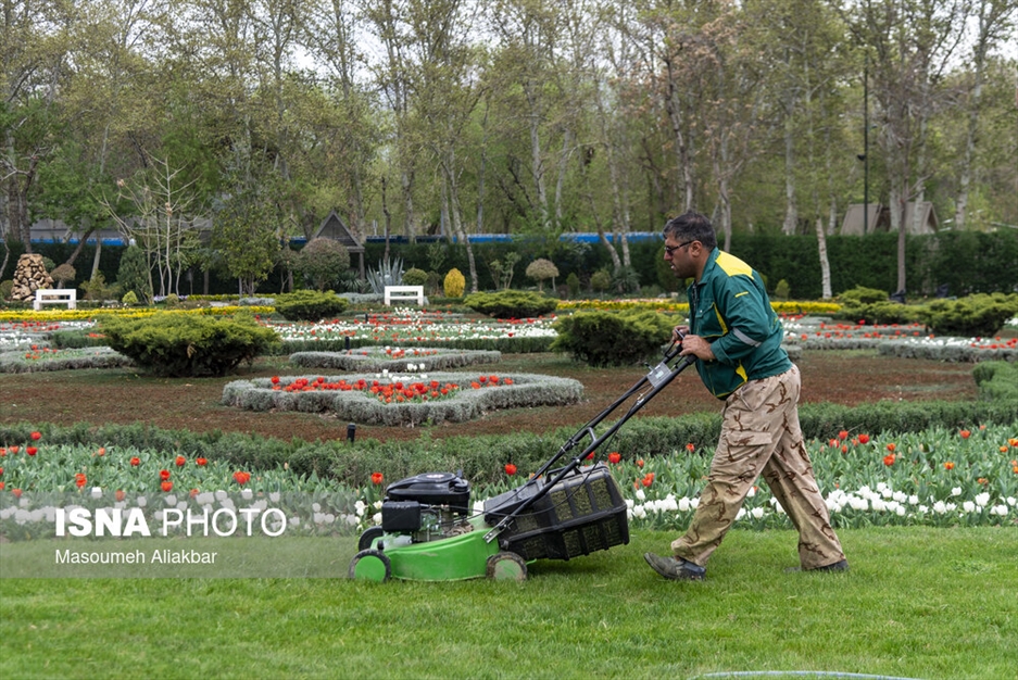 آماده سازی باغ گل جشنواره لاله های کرج