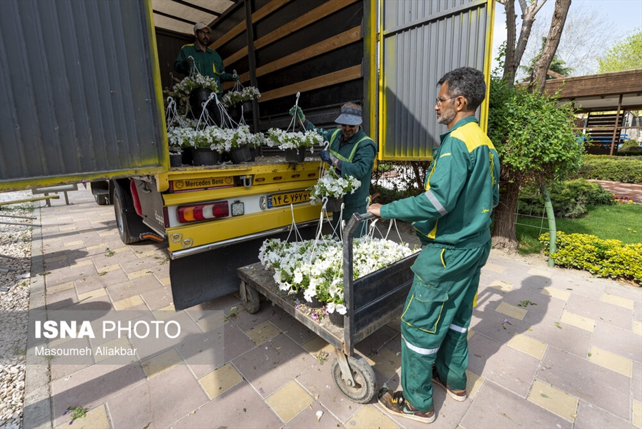 آماده سازی باغ گل جشنواره لاله های کرج