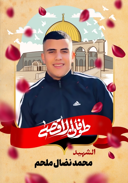 مجموعه تصاویر شهدای غزه - ۳