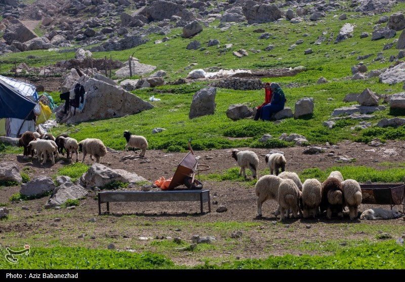 کوچ ییلاقی عشایر