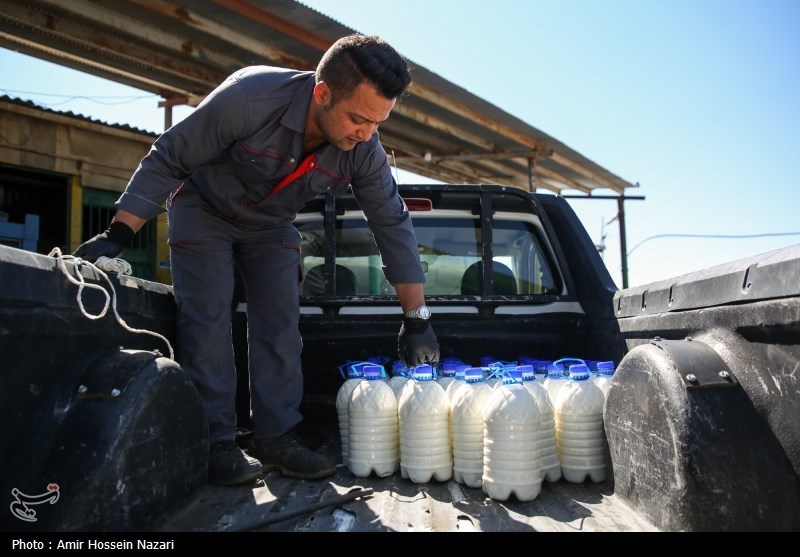  تحقق تامین امنیت غذایی با اتکا بر تولیدات داخلی 