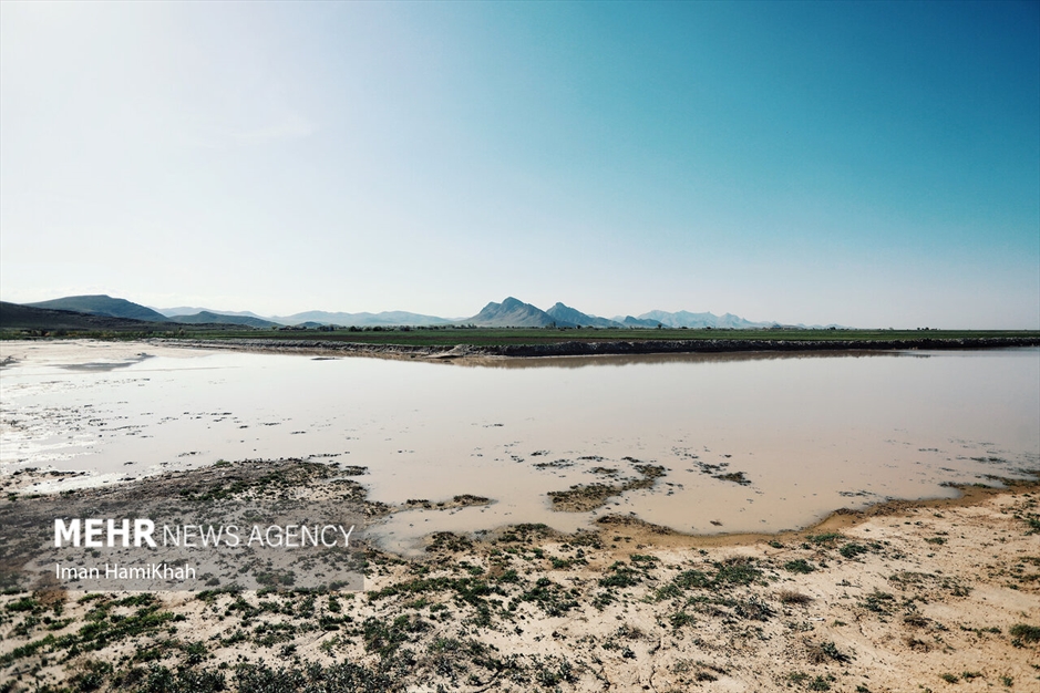 آبگیری تالاب «آق گل» بعد از سه سال خشکسالی