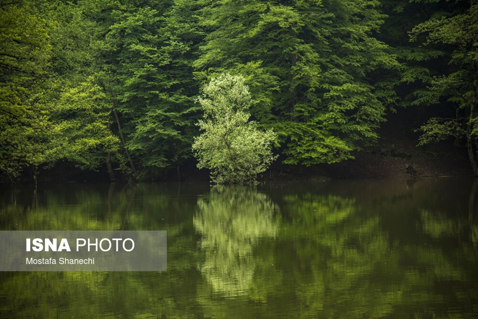 طبیعت بهاری دریاچه میانشه ساری - استان مازندران