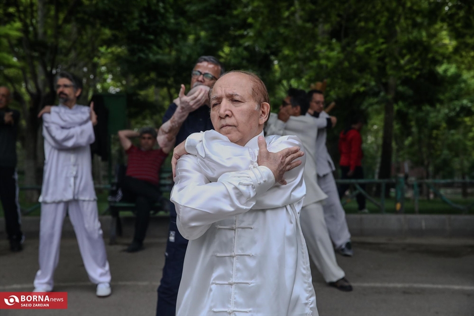 روز جهانی تای چی چوان ووشو