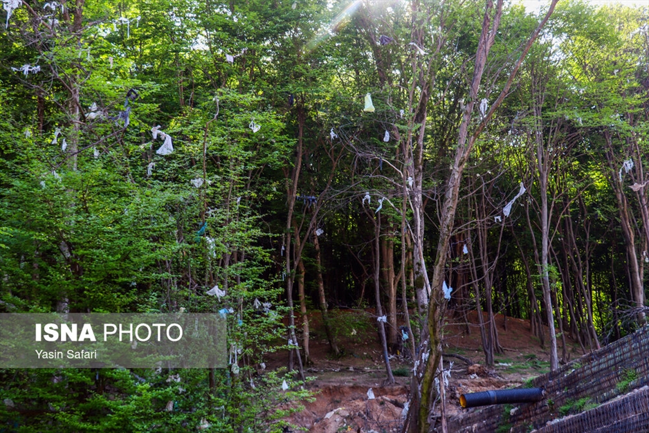 بهسازی سراوان از دفن زباله - استان گیلان